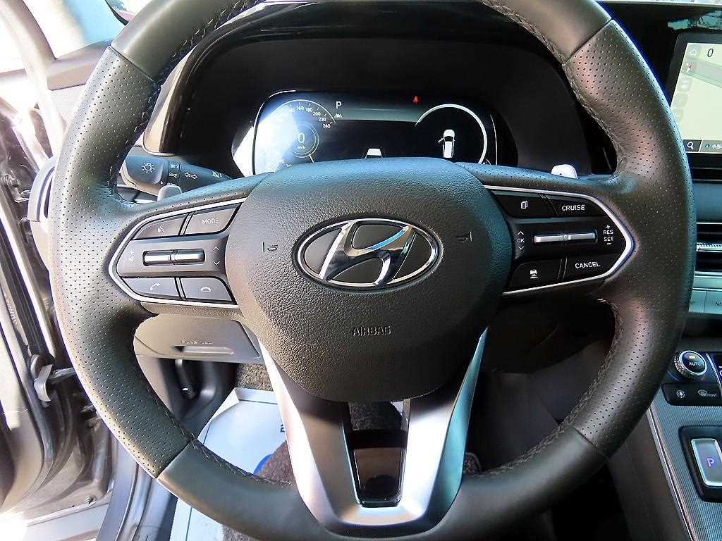 HYUNDAI Palisade - Vista 8