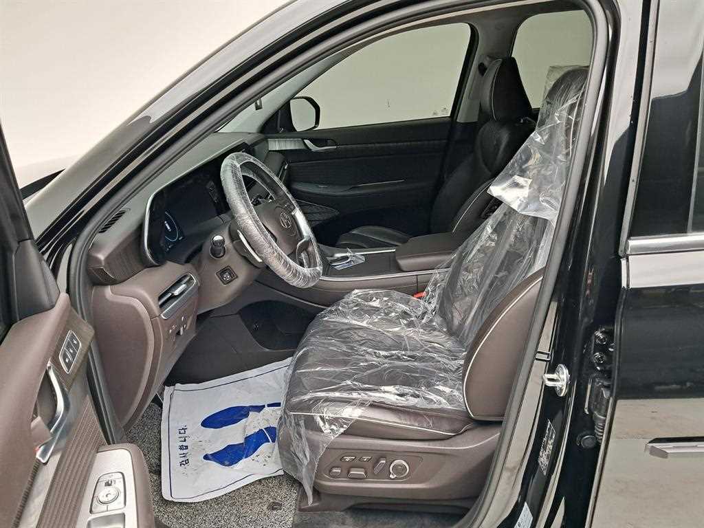 HYUNDAI Palisade - Vista 11