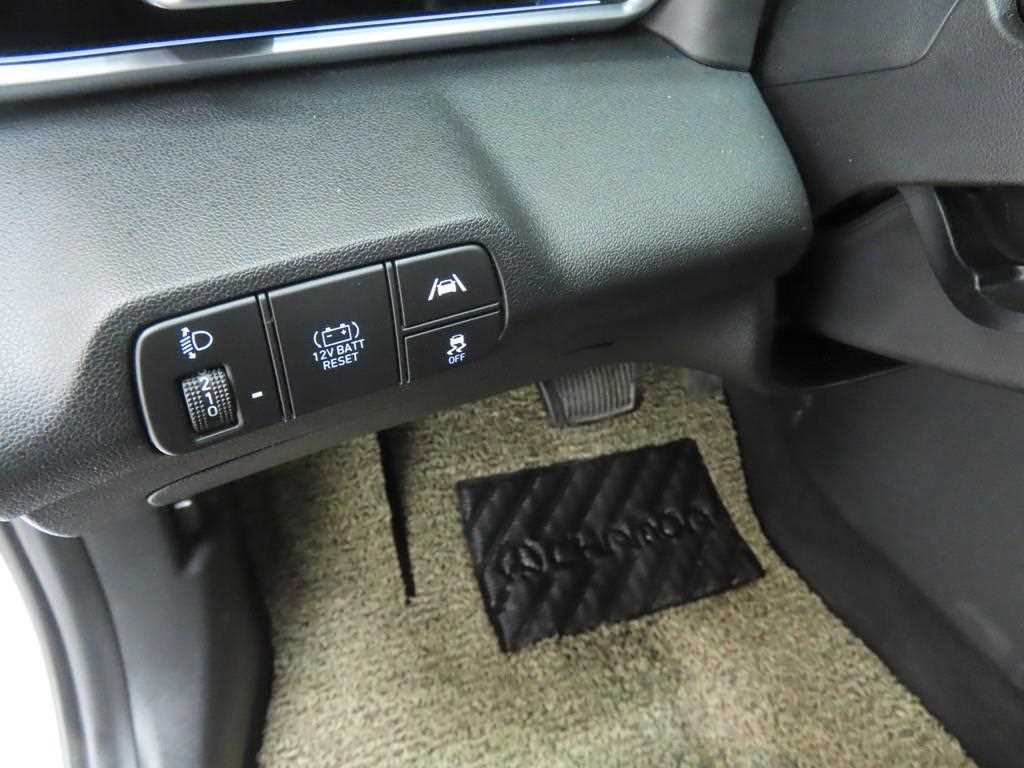 HYUNDAI Avante - Vista 10