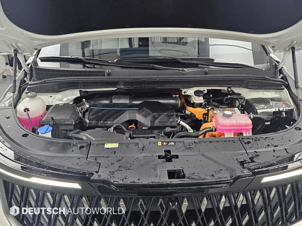 KIA Carnival - Vista 6