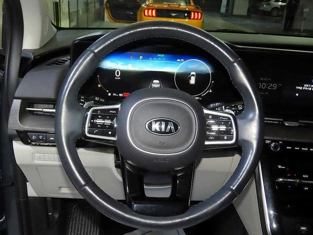 KIA Carnival - Vista 8