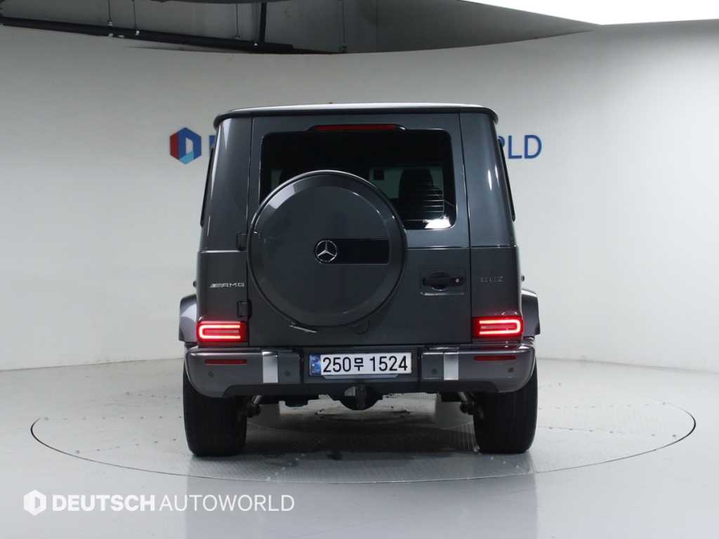 Mercedes Benz G Class (G Wagen) - Vista 4