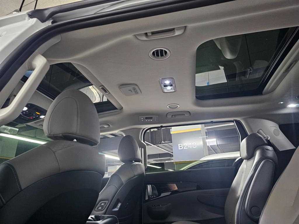 KIA Carnival - Vista 8