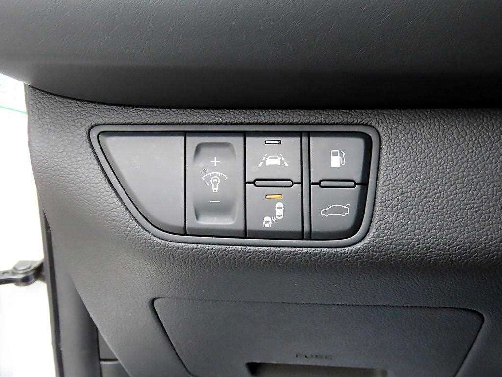 Genesis G70 - Vista 12