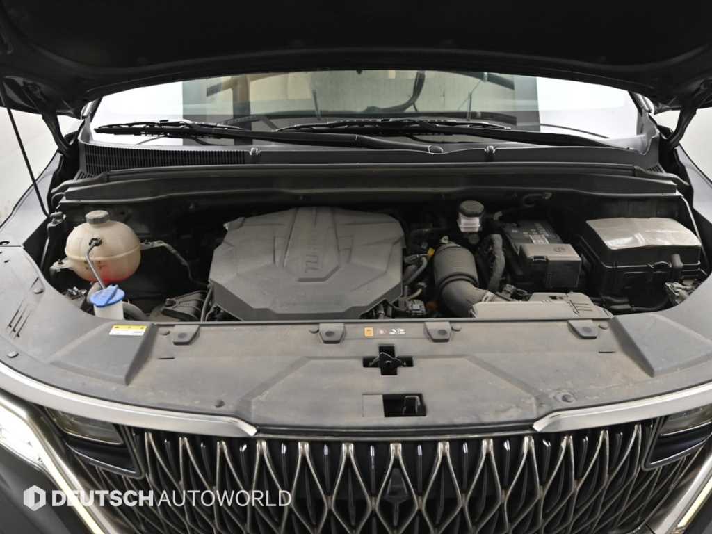 KIA Carnival - Vista 6