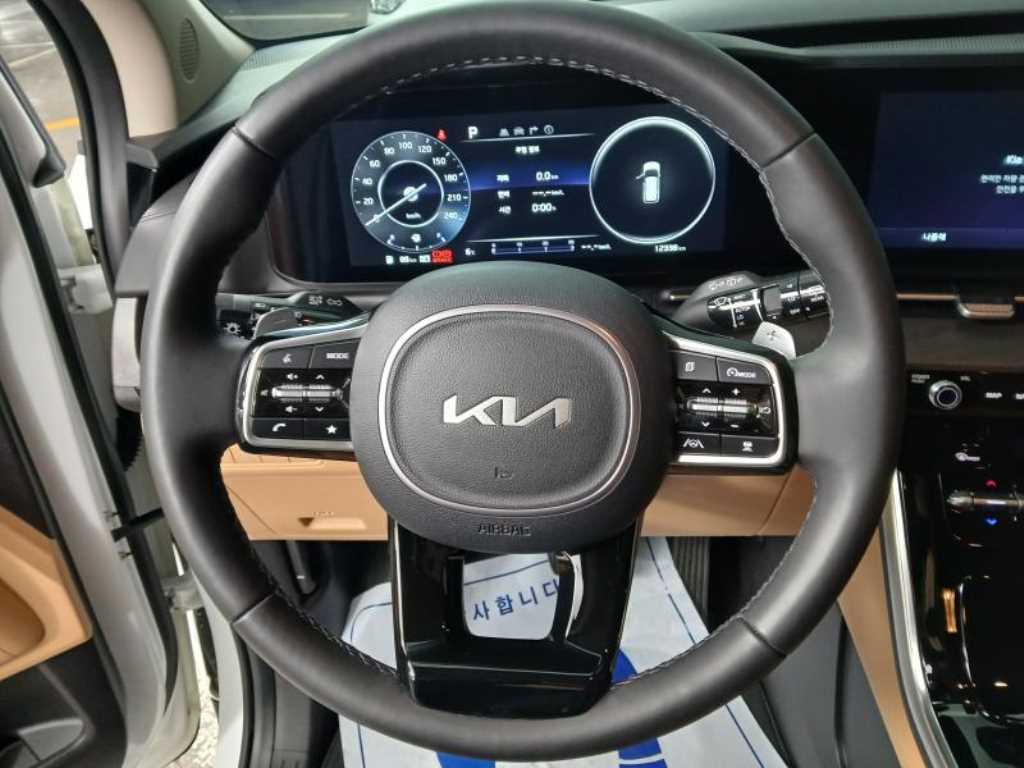 KIA Carnival - Vista 8