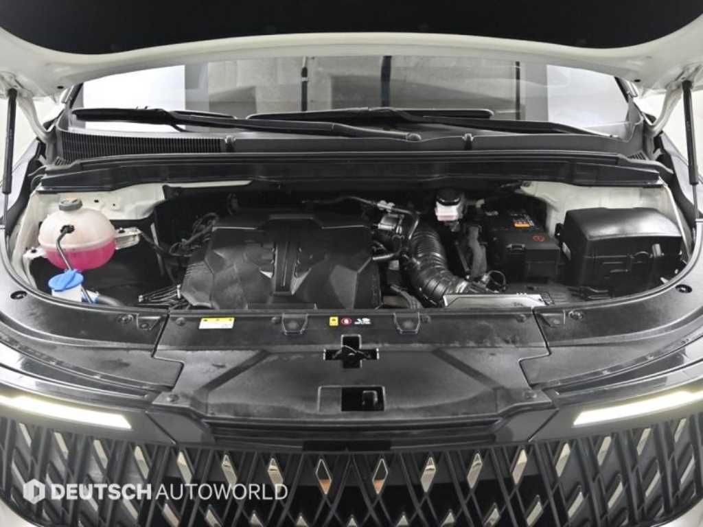 KIA Carnival - Vista 6