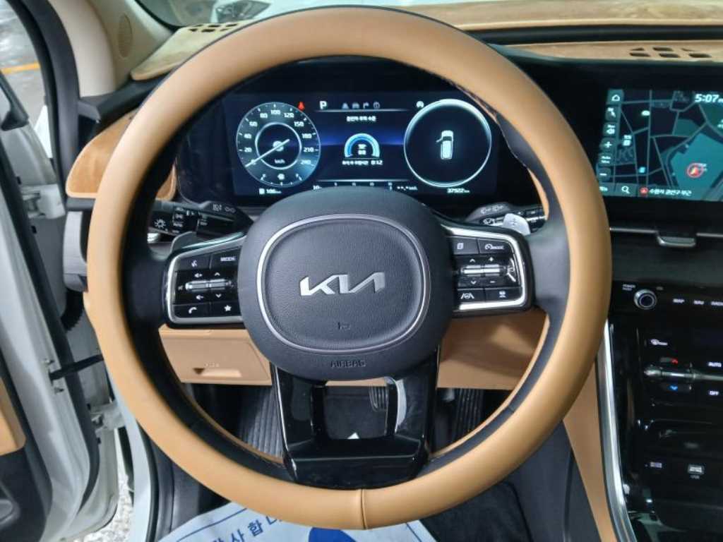 KIA Carnival - Vista 8