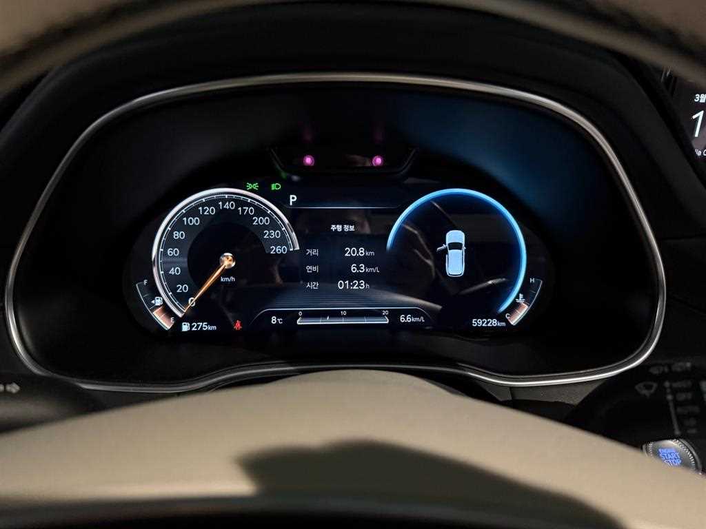 Genesis GV80 - Vista 8