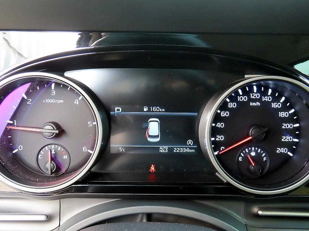 KIA Carnival - Vista 10