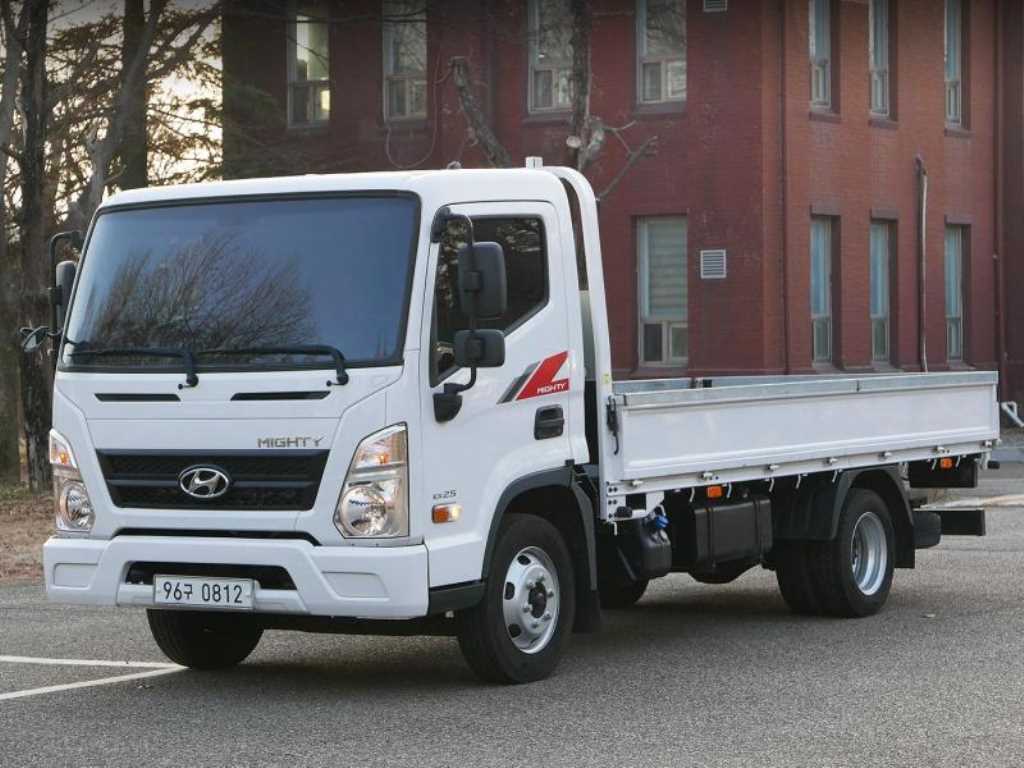 medium and large cargo Cargo 2020 Blanco - Importación desde Corea - HF Imports Iquique - Foto 1