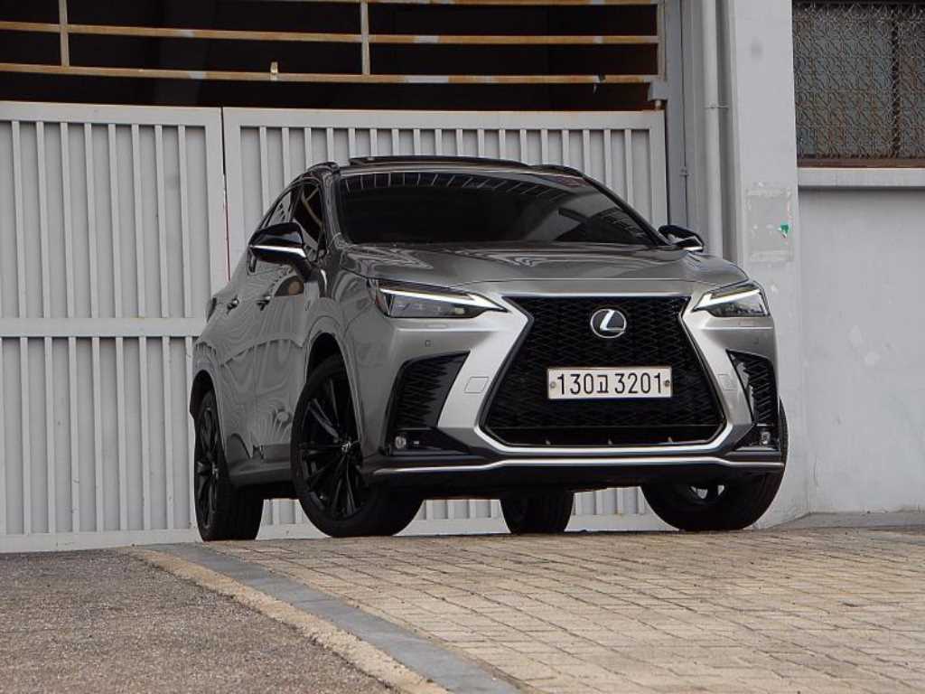 Lexus NX - Vista 4