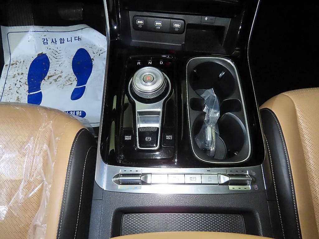 KIA Carnival - Vista 12