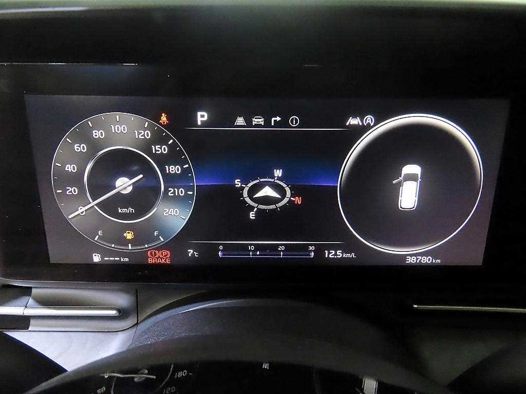 KIA Carnival - Vista 9