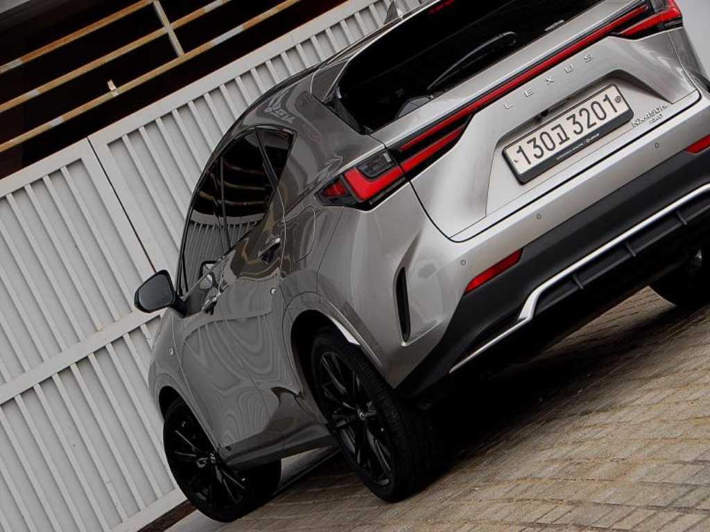 Lexus NX - Vista 6