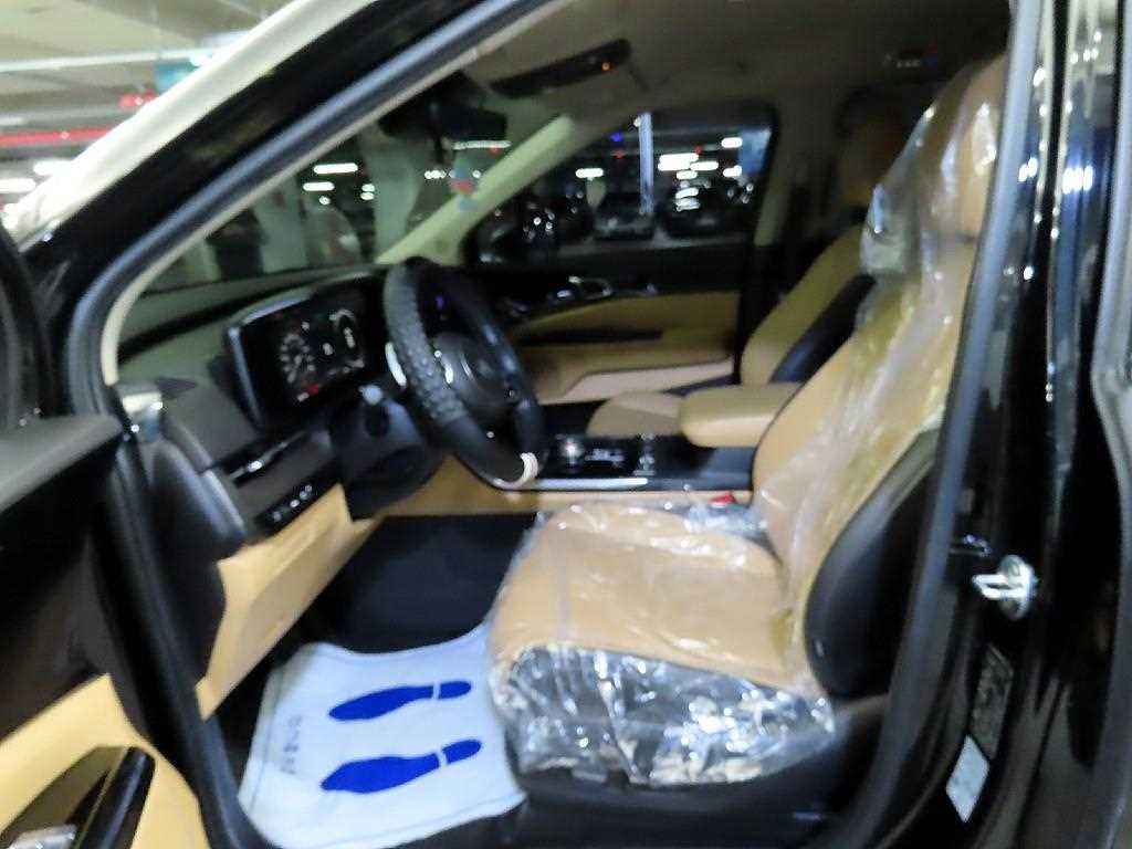 KIA Carnival - Vista 6