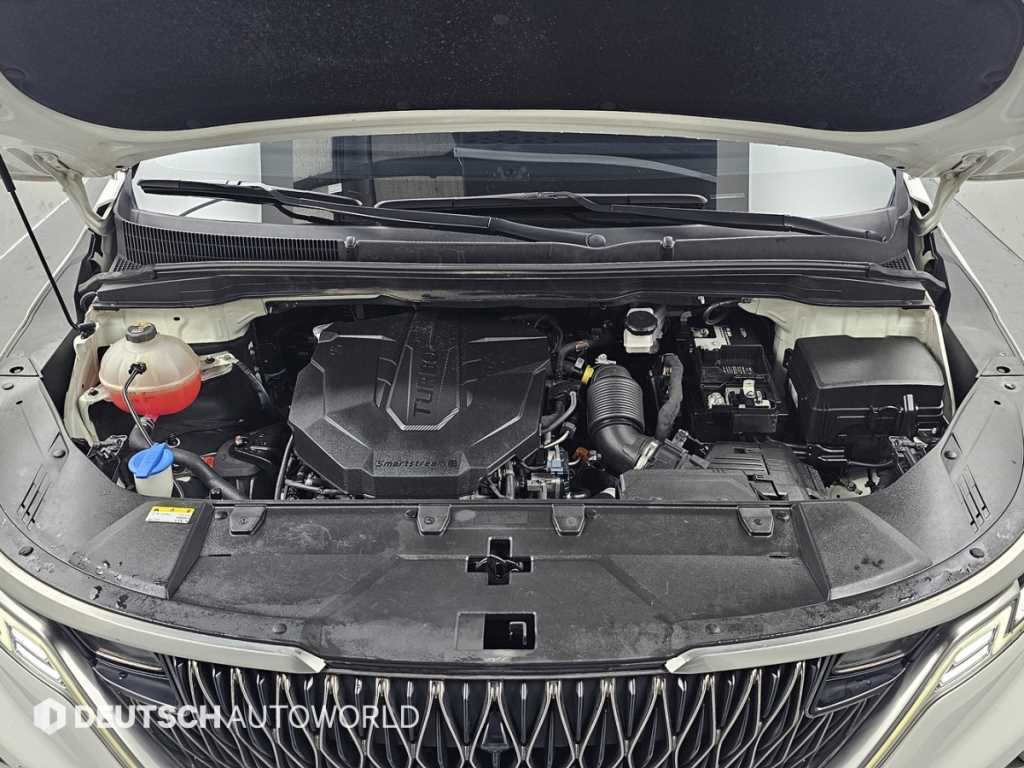 KIA Carnival - Vista 7