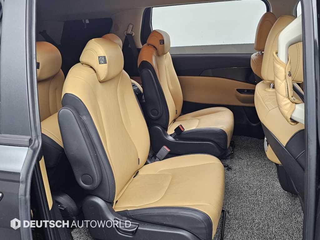 KIA Carnival - Vista 12