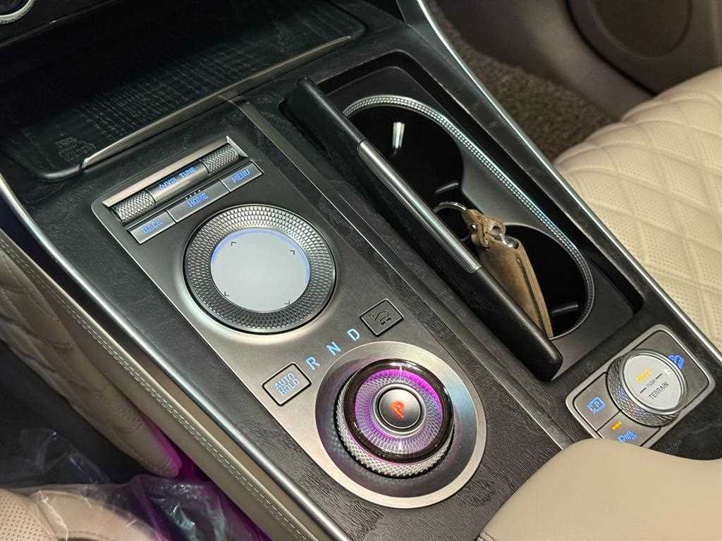 Genesis GV80 - Vista 10