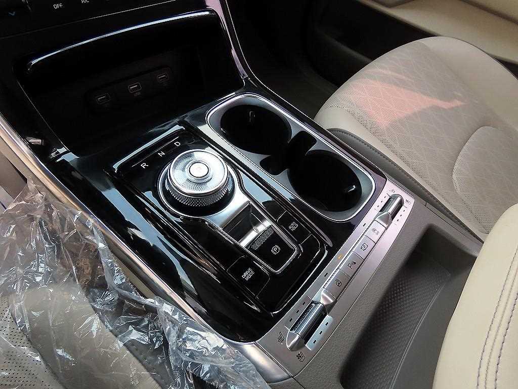 KIA Carnival - Vista 11