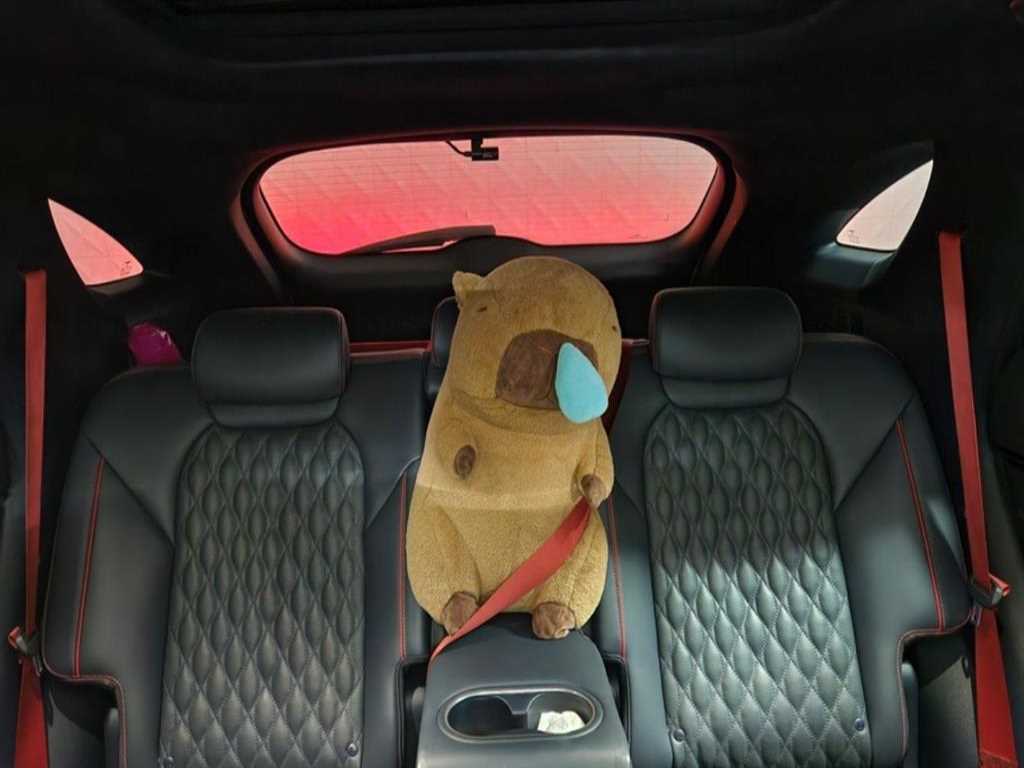 Genesis GV70 - Vista 6