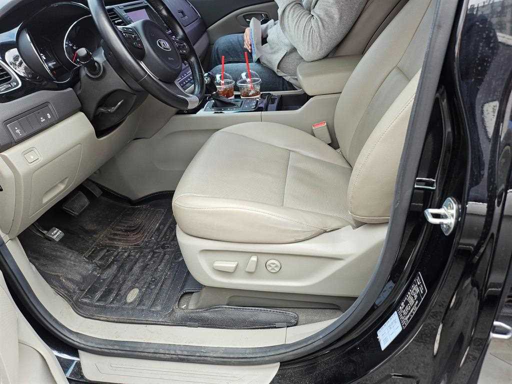 KIA Carnival - Vista 8