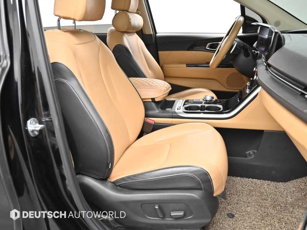 KIA Carnival - Vista 10