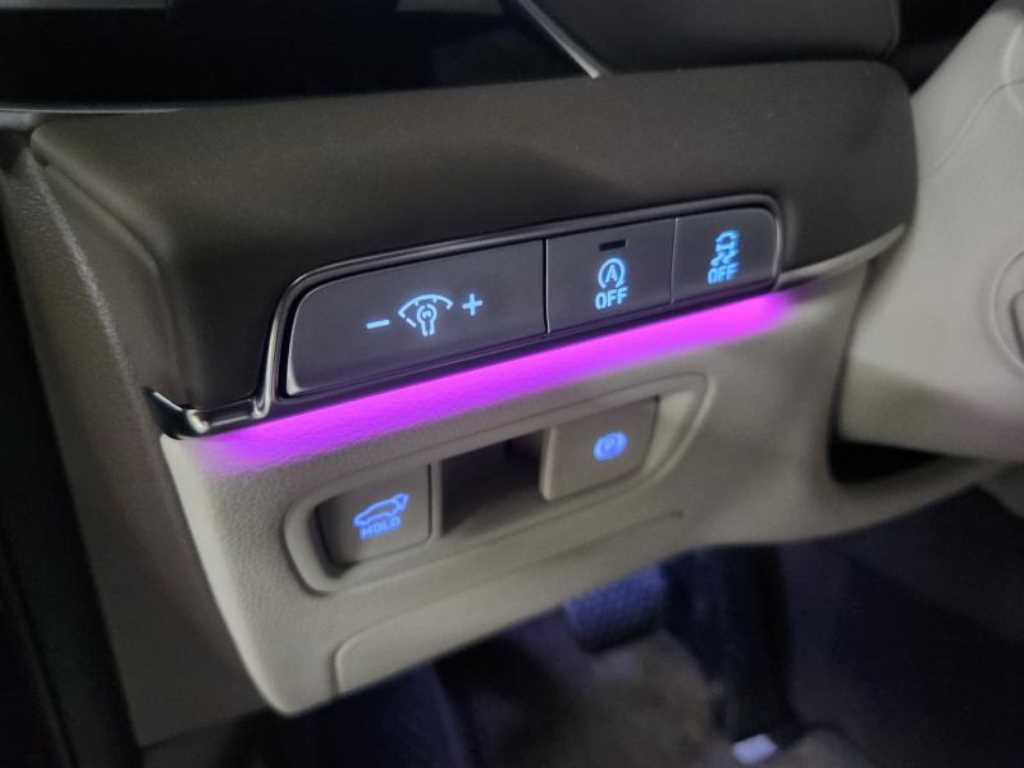 Genesis GV80 - Vista 12