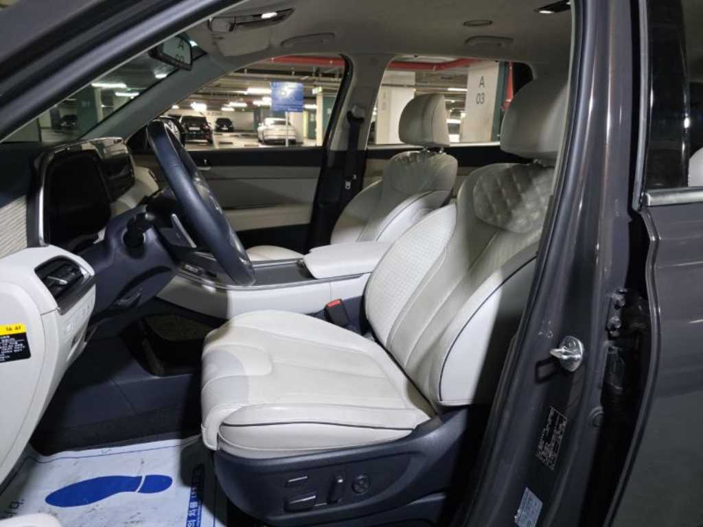 HYUNDAI Palisade - Vista 8