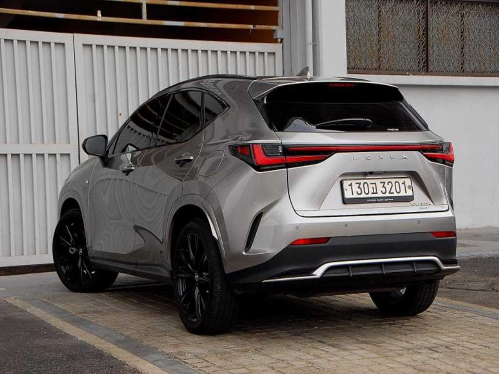 Lexus NX - Vista 8