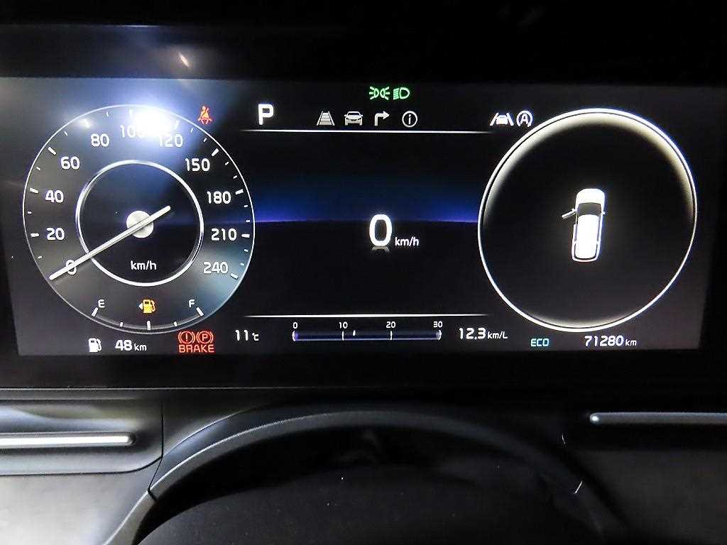 KIA Carnival - Vista 9