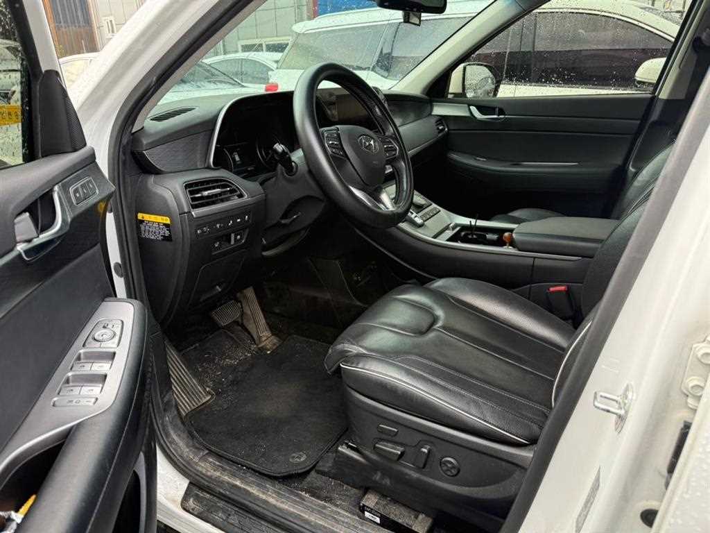 HYUNDAI Palisade - Vista 6