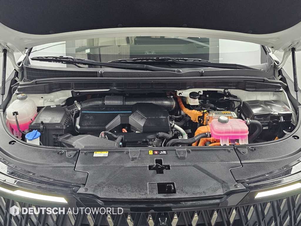 KIA Carnival - Vista 6