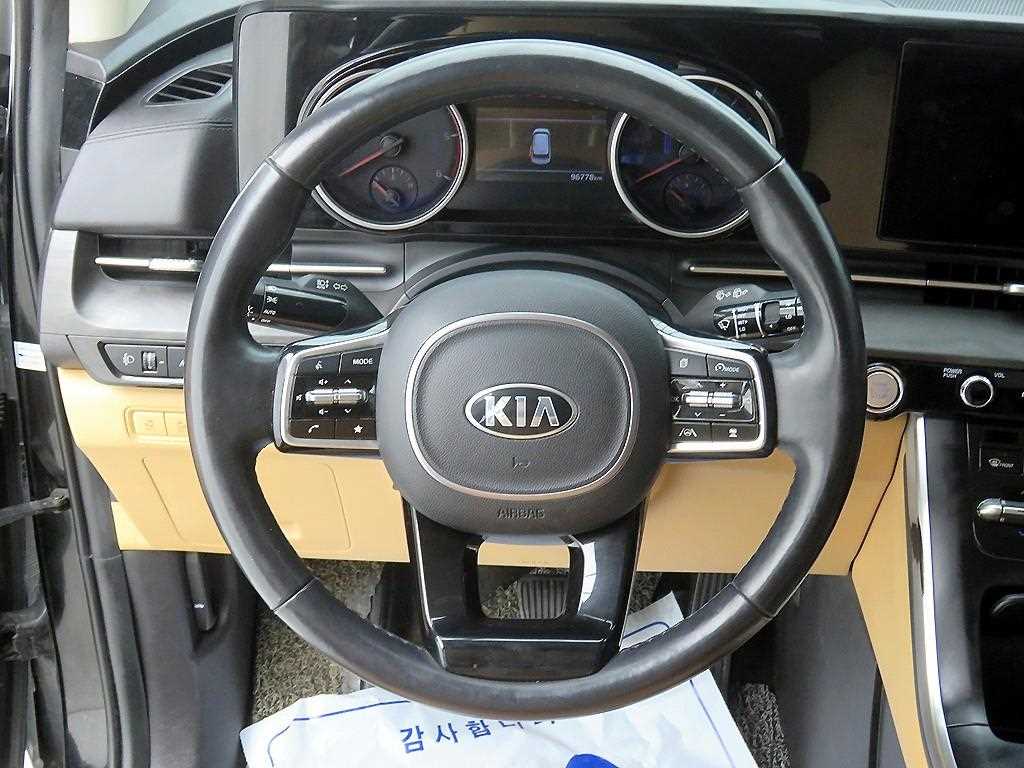 KIA Carnival - Vista 11