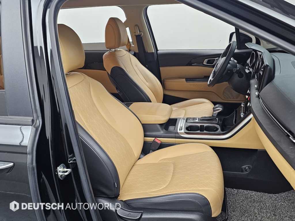 KIA Carnival - Vista 10