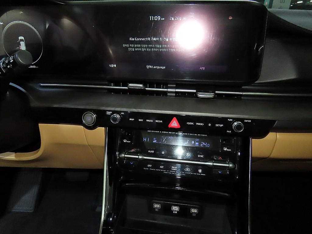 KIA Carnival - Vista 11