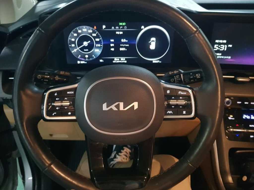 KIA Carnival - Vista 9