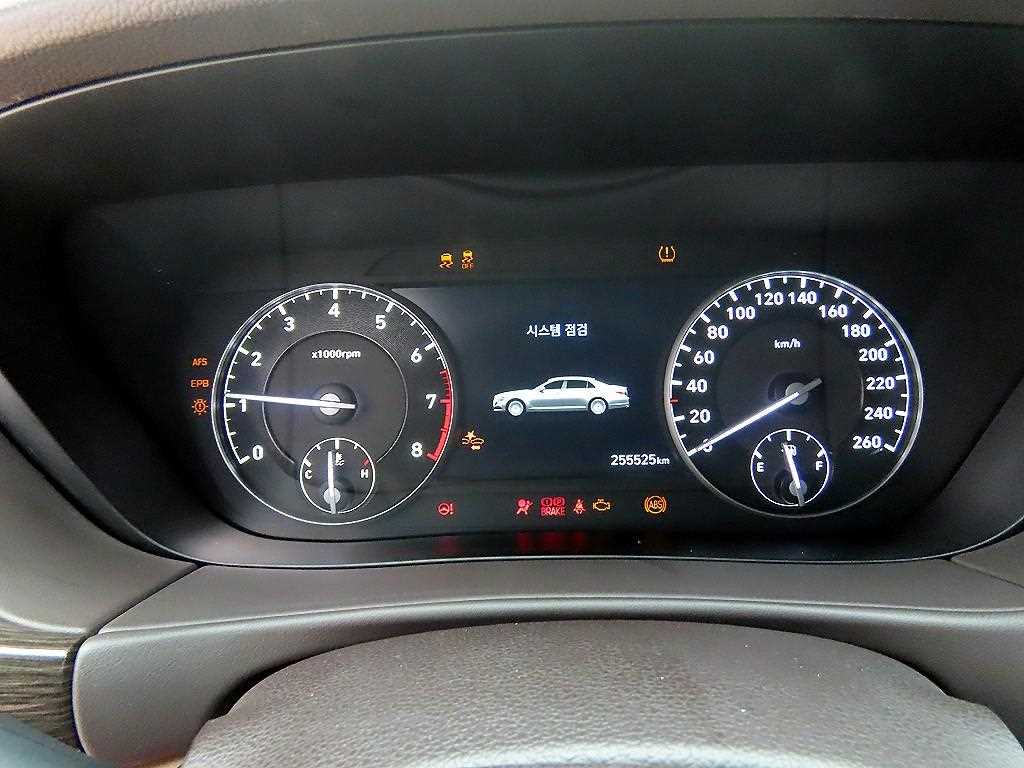 Genesis G90 - Vista 9