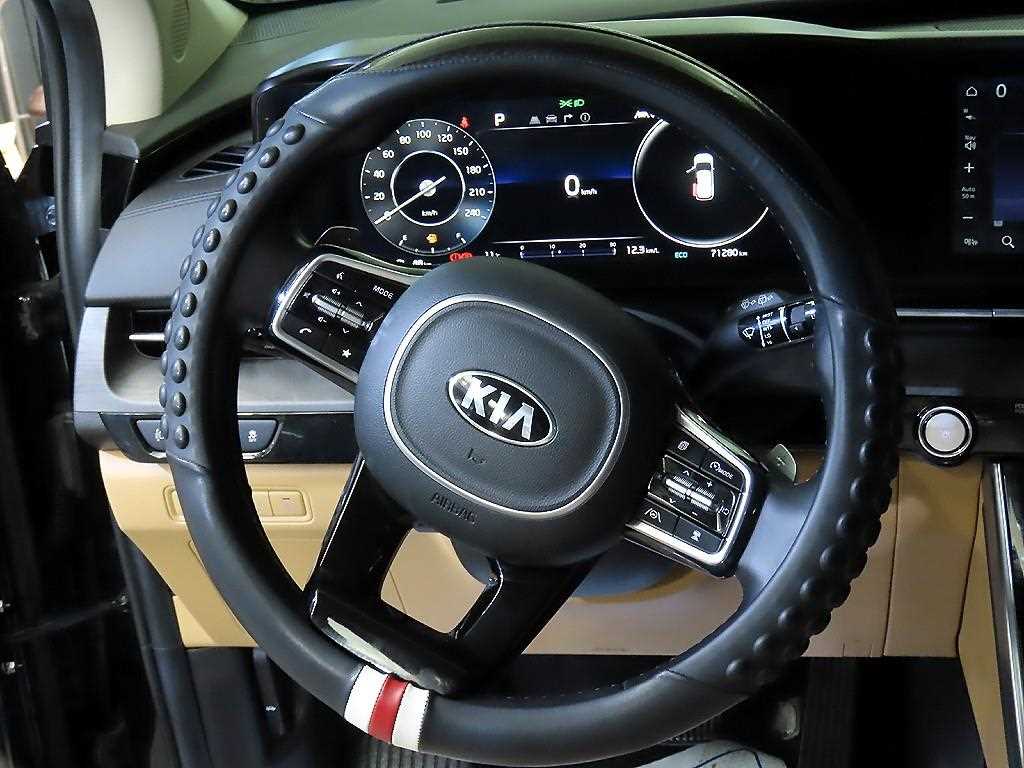 KIA Carnival - Vista 8