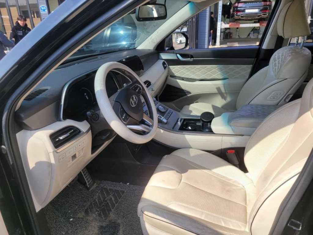 HYUNDAI Palisade - Vista 4