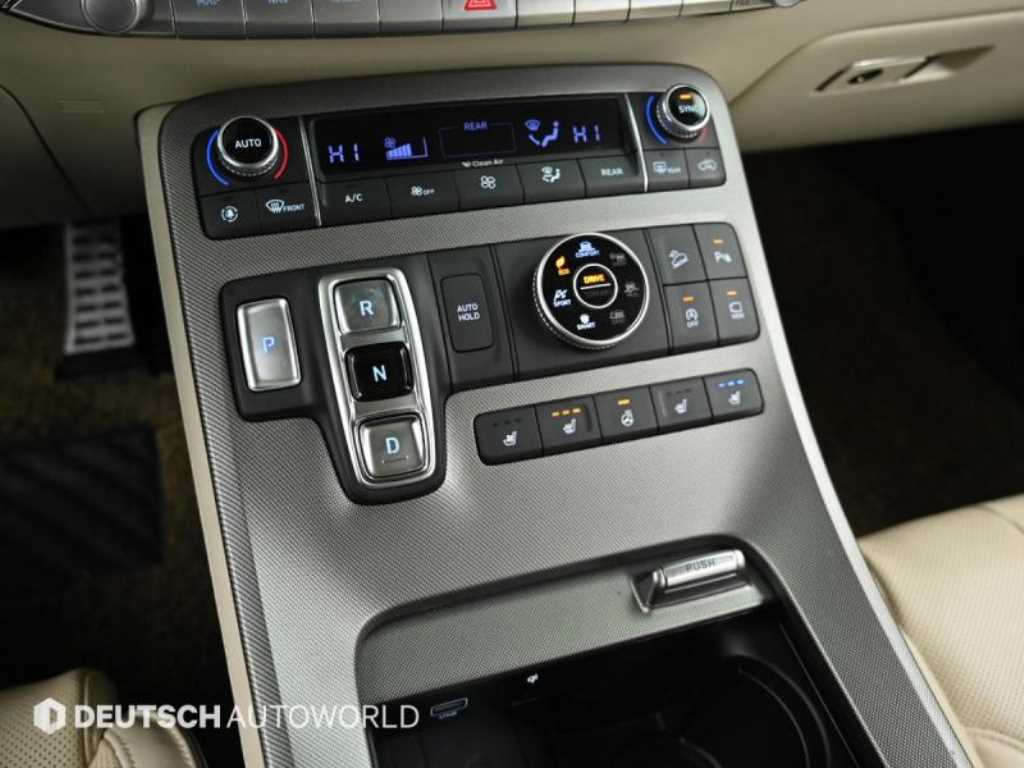 HYUNDAI Palisade - Vista 10