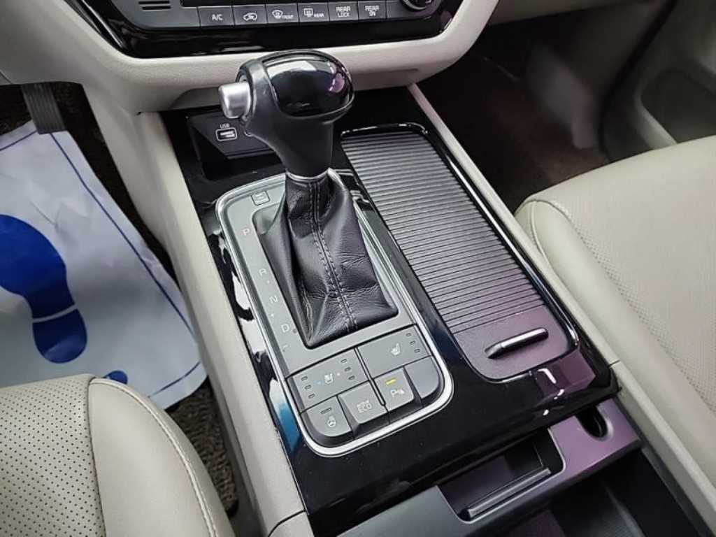 KIA Carnival - Vista 8