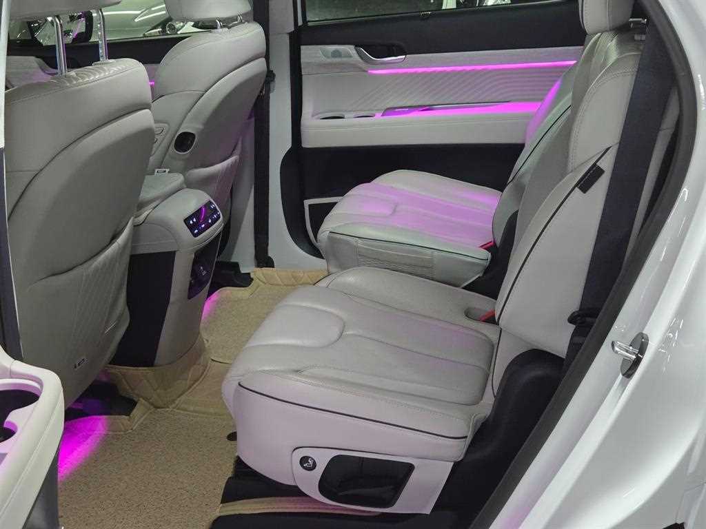 HYUNDAI Palisade - Vista 11