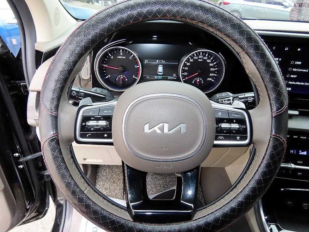 KIA Carnival - Vista 9