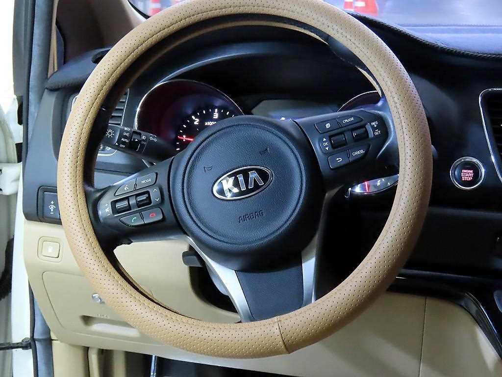 KIA Carnival - Vista 8