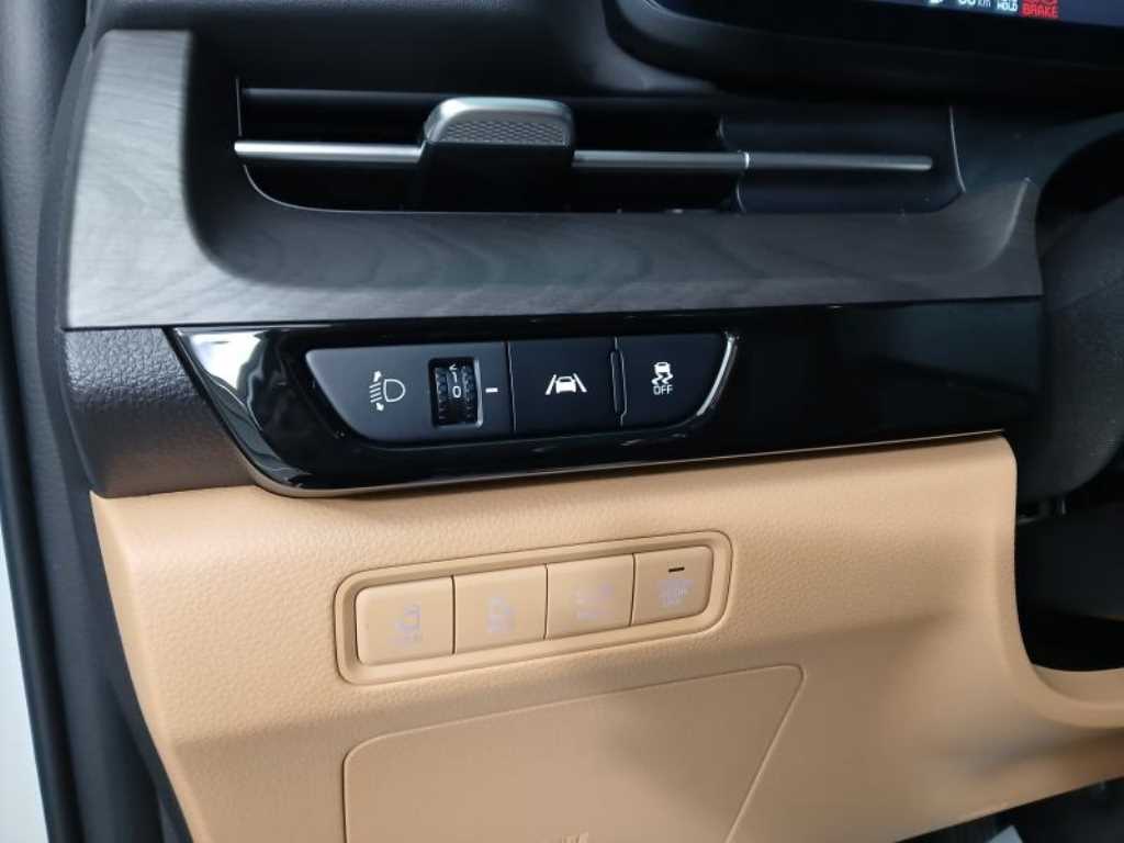 KIA Carnival - Vista 11