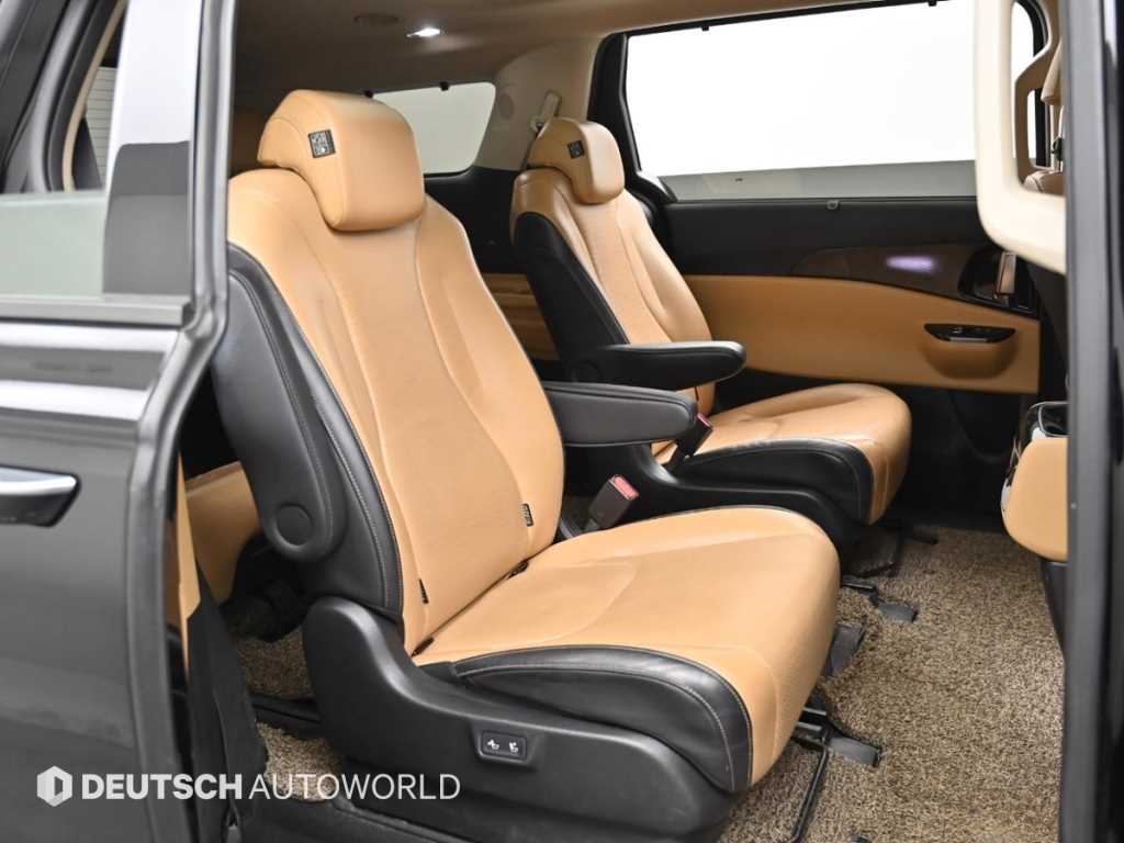 KIA Carnival - Vista 12