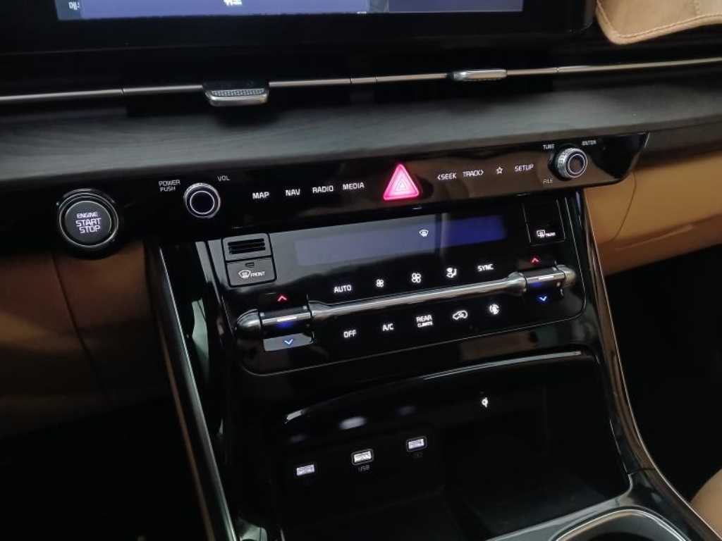 KIA Carnival - Vista 12