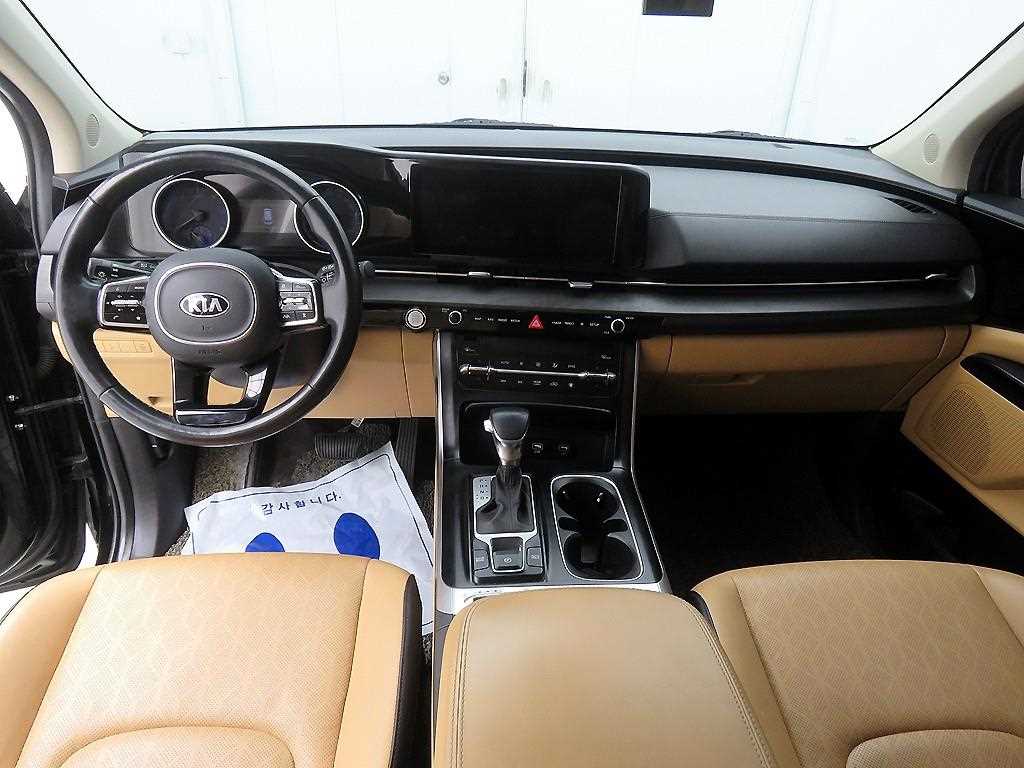 KIA Carnival - Vista 8