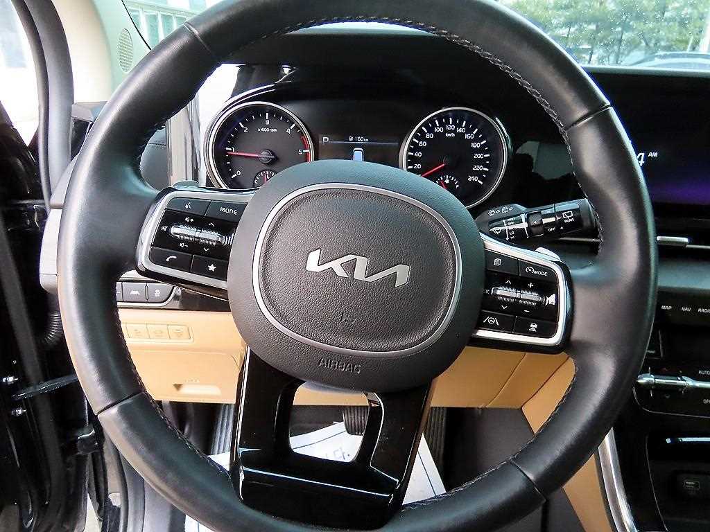 KIA Carnival - Vista 9